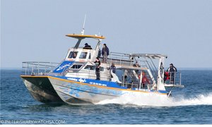 Wilfred se Dream Catcher